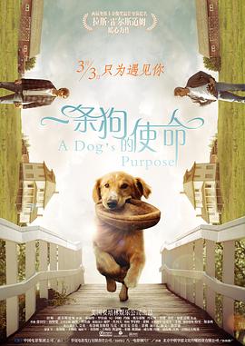 年轻的姐姐法3